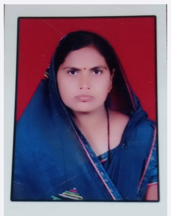 उपसरपंच